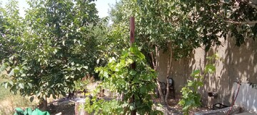 توسعه گردشگری روستایی در بهار/ ظرفیت‌های باغی روستای پهنه‌بر بررسی شد
