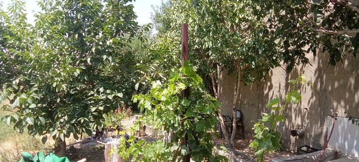 توسعه گردشگری روستایی در بهار/ ظرفیت‌های باغی روستای پهنه‌بر بررسی شد