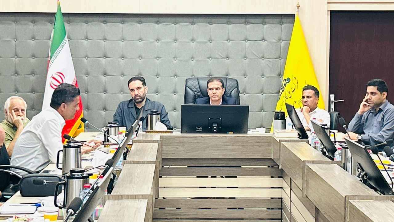 نشست صمیمی مدیرکل ثبت آثار و حفظ و احیای میراث معنوی و طبیعی کشور با سمن‌های سیراف برگزار شد