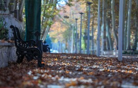 محلات؛ پایتخت گل ایران