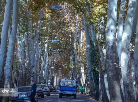 پاییز در محلات؛ پایتخت گل ایران