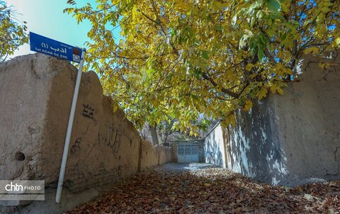 پاییز در محلات؛ پایتخت گل ایران