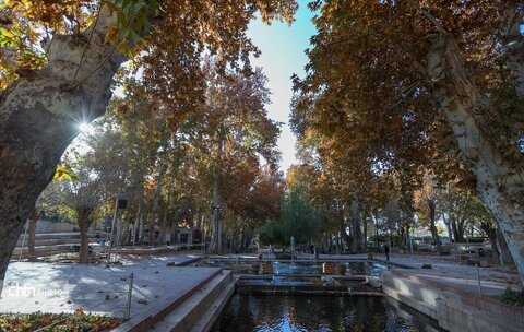 پاییز در محلات؛ پایتخت گل ایران