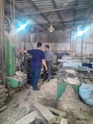 بازدید سرپرست معاونت صنایع‌دستی گیلان از کارگاه محصولات چوبی رشت/ تأکید بر تقویت زنجیره ارزش هنرهای بومی
