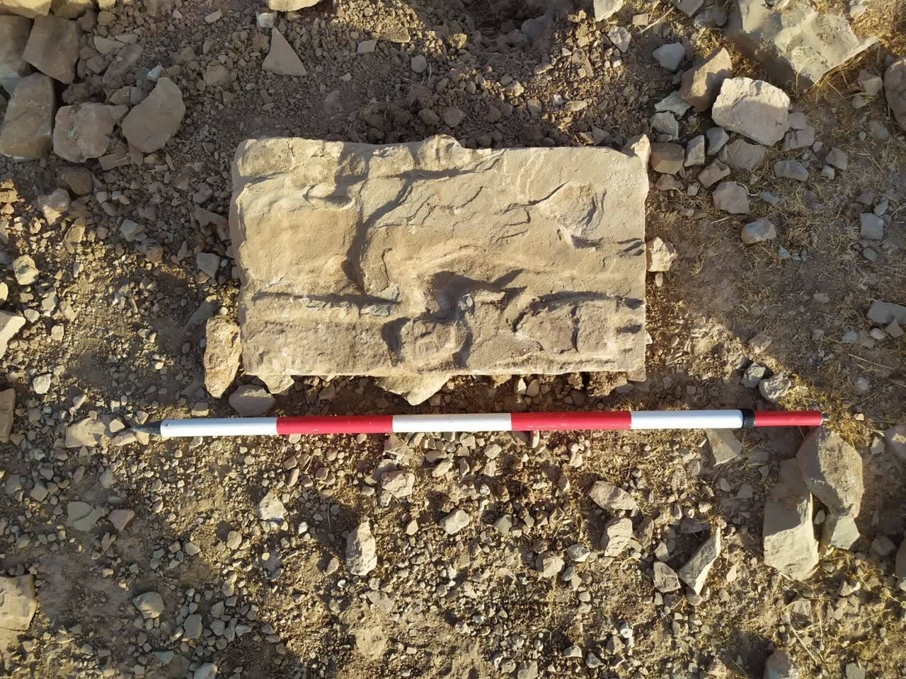 نویافته‌ای از بردنشانده؛ نقش‌برجسته هراکلس-ورثرغنه در کنار شاهزاده الیمایی
