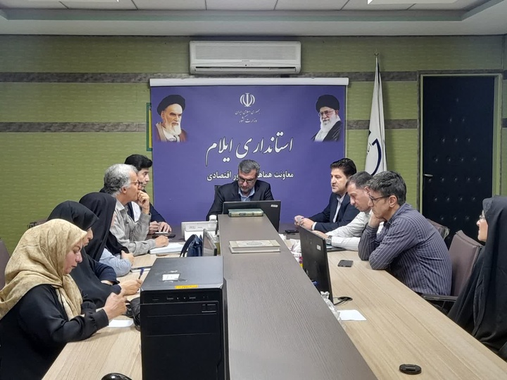 نشست بررسی و پیگیری مشکلات صنعتگران صنایع‌دستی ایلام برگزار شد 