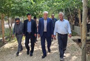 سفر معاون گردشگری فارس به سپیدان؛  تمرکز بر رفع موانع فعالان این حوزه