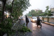 هشدار نسبت به وزش تندباد در تهران