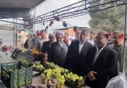دهمین جشنواره «شکرانه برداشت انجیر» گلوگاه افتتاح شد