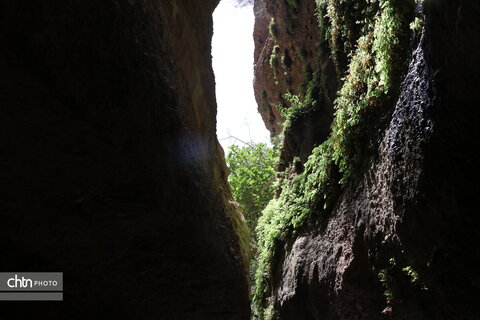 زینگان