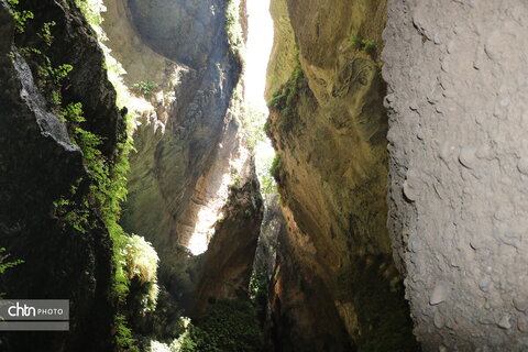 زینگان