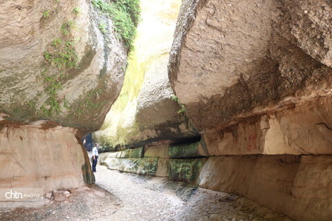 زینگان