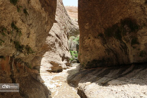 زینگان