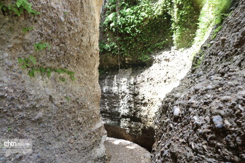 زینگان