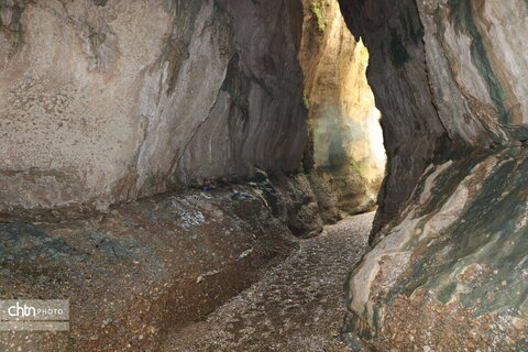 زینگان