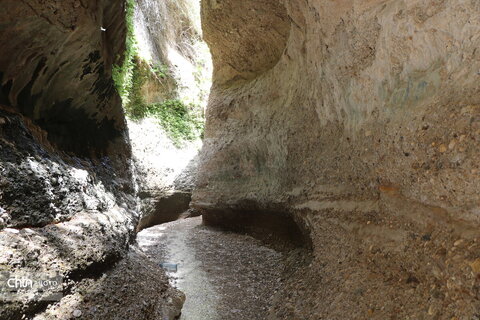 زینگان
