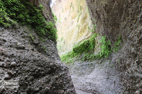 زینگان
