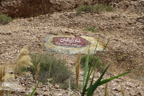 زینگان