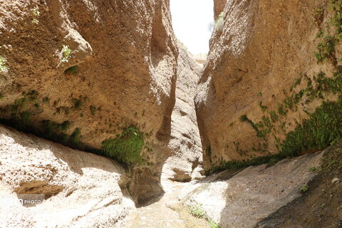 زینگان
