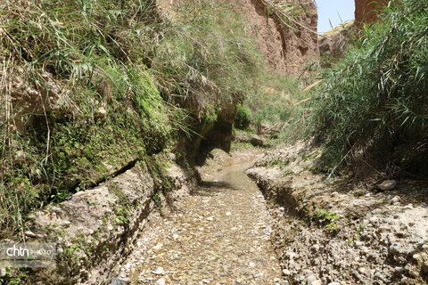 زینگان