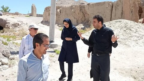 دهاقین