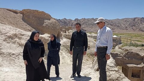 دهاقین