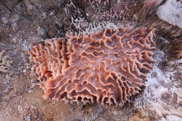 معدن نمک گرمسار