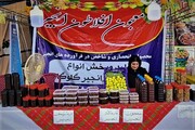 دهمین جشنواره «شکرانه برداشت انجیر» گلوگاه افتتاح شد