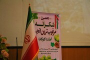 دهمین جشنواره «شکرانه برداشت انجیر» گلوگاه افتتاح شد