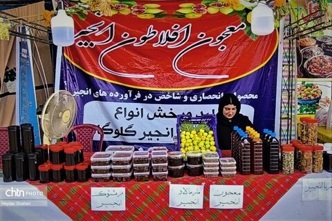 دهمین جشنواره «شکرانه برداشت انجیر» گلوگاه افتتاح شد