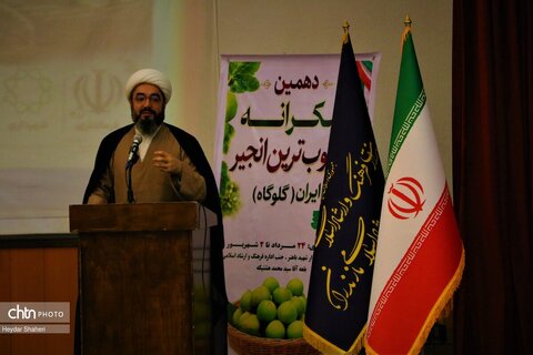 دهمین جشنواره «شکرانه برداشت انجیر» گلوگاه افتتاح شد