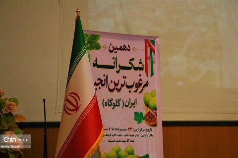 دهمین جشنواره «شکرانه برداشت انجیر» گلوگاه افتتاح شد
