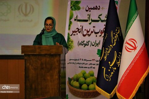 دهمین جشنواره «شکرانه برداشت انجیر» گلوگاه افتتاح شد