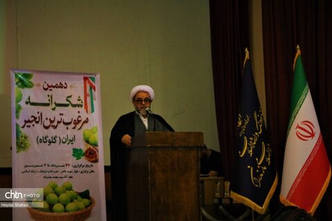 دهمین جشنواره «شکرانه برداشت انجیر» گلوگاه افتتاح شد