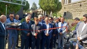 جشنواره و نمایشگاه گیاهان دارویی در جوار ابن‌سینا افتتاح شد