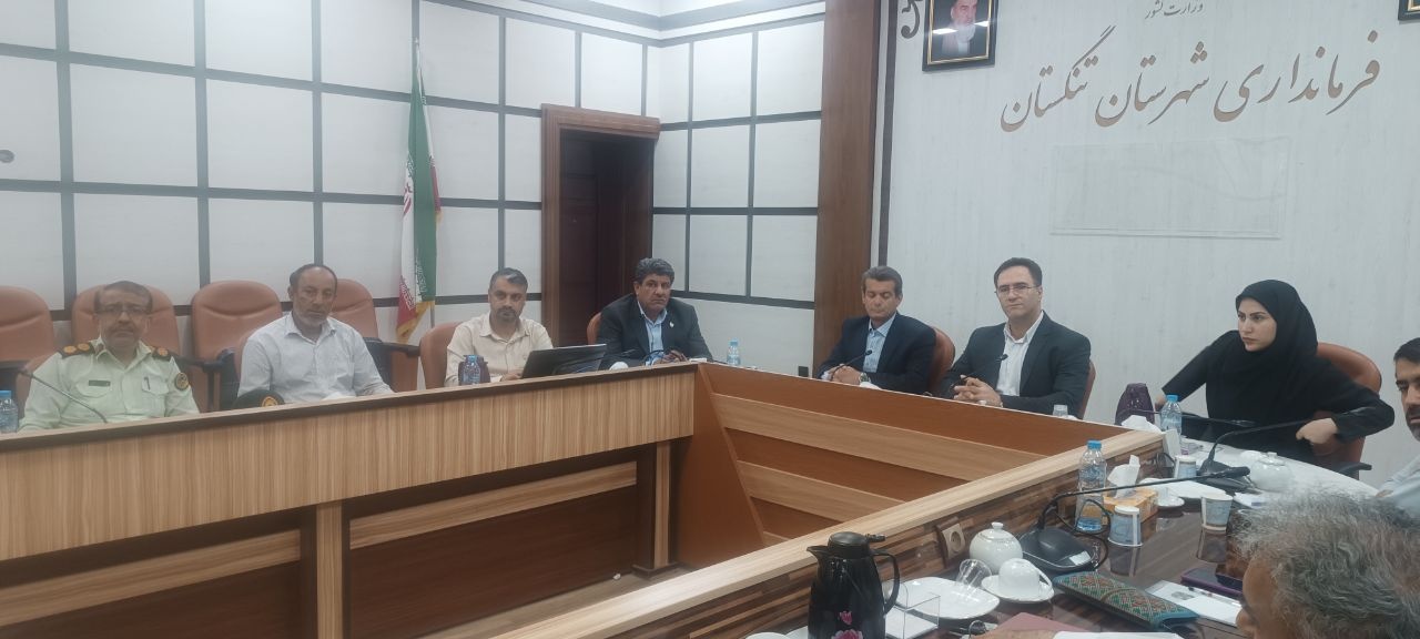 دومین جلسه انجمن میراث‌فرهنگی شهرستان تنگستان برگزار شد