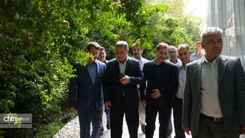 پازیریک