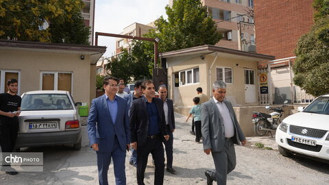 پازیریک
