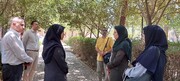 تدوین دستورالعمل حفاظت و نگهداری از درختان دولتخانه صفوی در دستور کار قرار گرفت