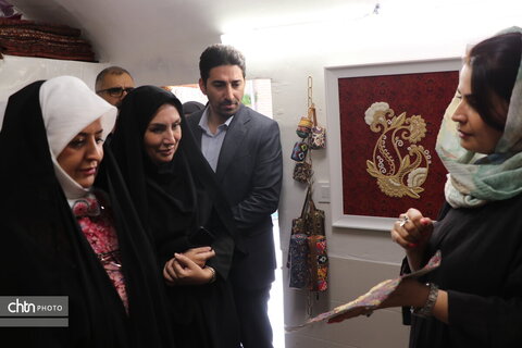سفر یکروزه مدیرکل آموزش و ترویج صنایع دستی کشور به مناسبت هفته دولت به استان مرکزی