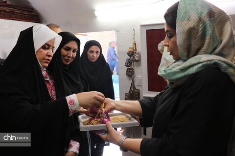سفر یکروزه مدیرکل آموزش و ترویج صنایع دستی کشور به مناسبت هفته دولت به استان مرکزی