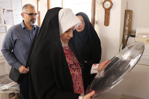 سفر یکروزه مدیرکل آموزش و ترویج صنایع دستی کشور به مناسبت هفته دولت به استان مرکزی