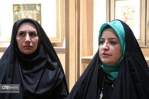 سفر یکروزه مدیرکل آموزش و ترویج صنایع دستی کشور به مناسبت هفته دولت به استان مرکزی