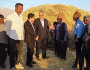 دومین جشنواره خرمن‌کوبی در روستای گردشگری لنگر ماهان برگزار شد
