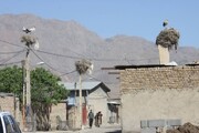 منظومه گردشگری کپرجودکی بروجرد ظرفیت ثبت جهانی دارد