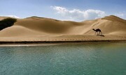 دَرَک؛ روستایی که دریا، باغ و گردشگری چرخ اشتغال آن را می‌چرخاند/ صیادی, ستون معیشت و هویت دَرَک