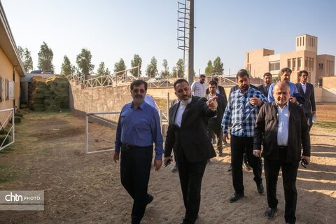 بازدید استاندار قم