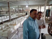 بازدید رئیس اداره میراث‌فرهنگی پاکدشت از کارگاه‌های فعال صنایع‌دستی