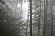 جایی میان ابرها؛ درازنو، رؤیای سبز گلستان