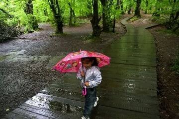 پیش‌بینی بارش و رگبار در شمال و شمال‌غرب کشور